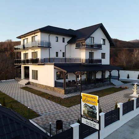 Casa De Vacanta Larisa Novaci-Străini Zewnętrze zdjęcie