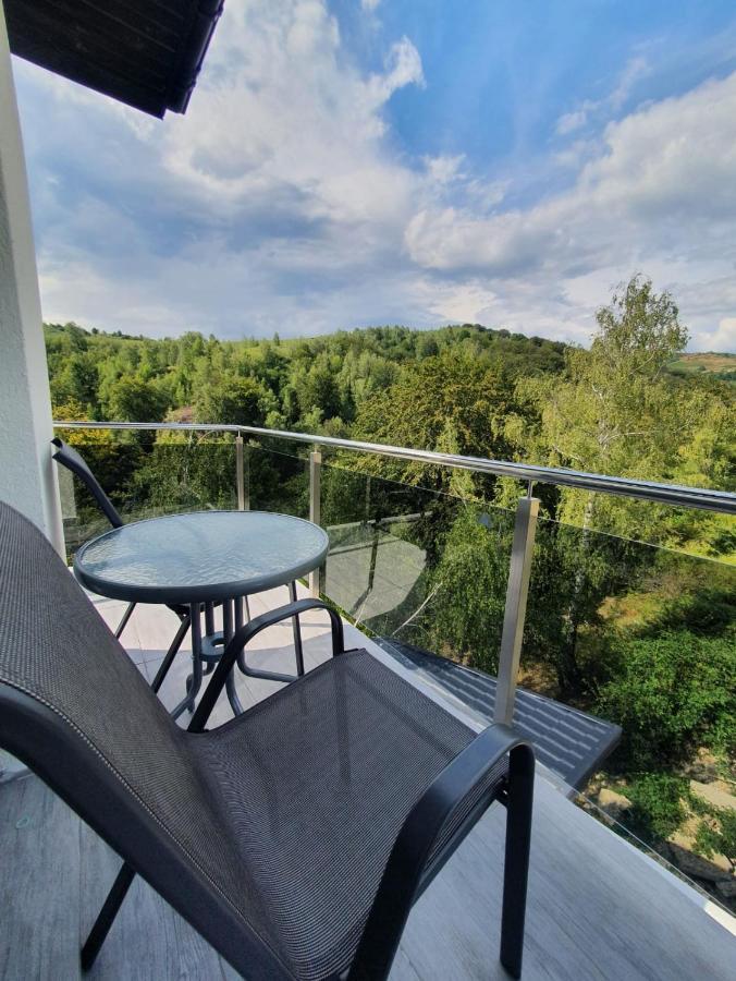 Casa De Vacanta Larisa Novaci-Străini Zewnętrze zdjęcie