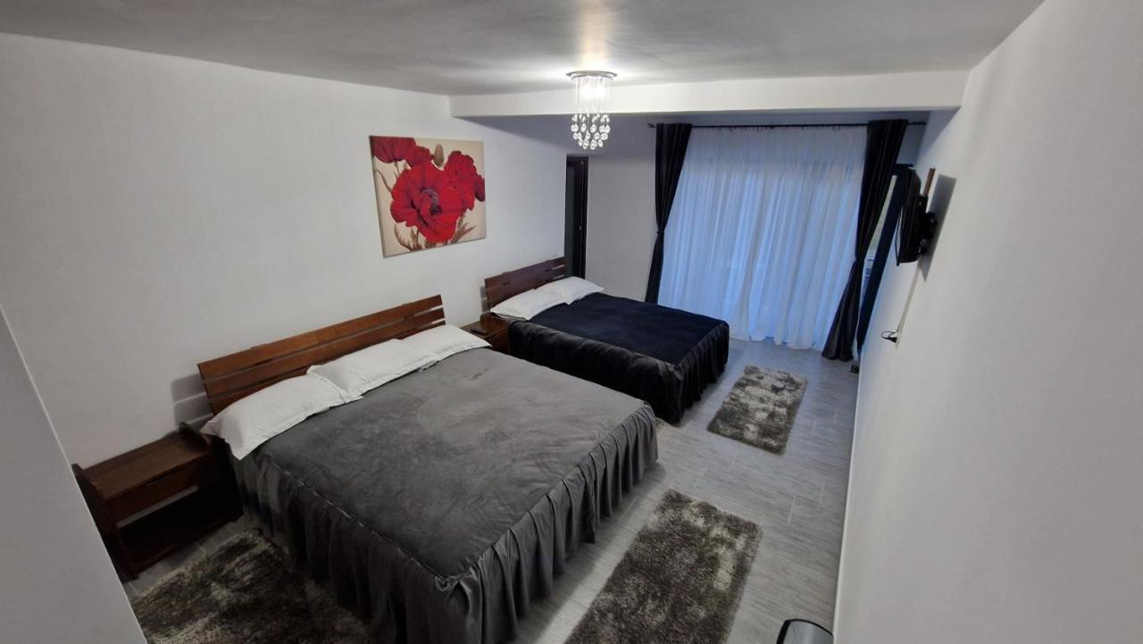 Casa De Vacanta Larisa Novaci-Străini Zewnętrze zdjęcie