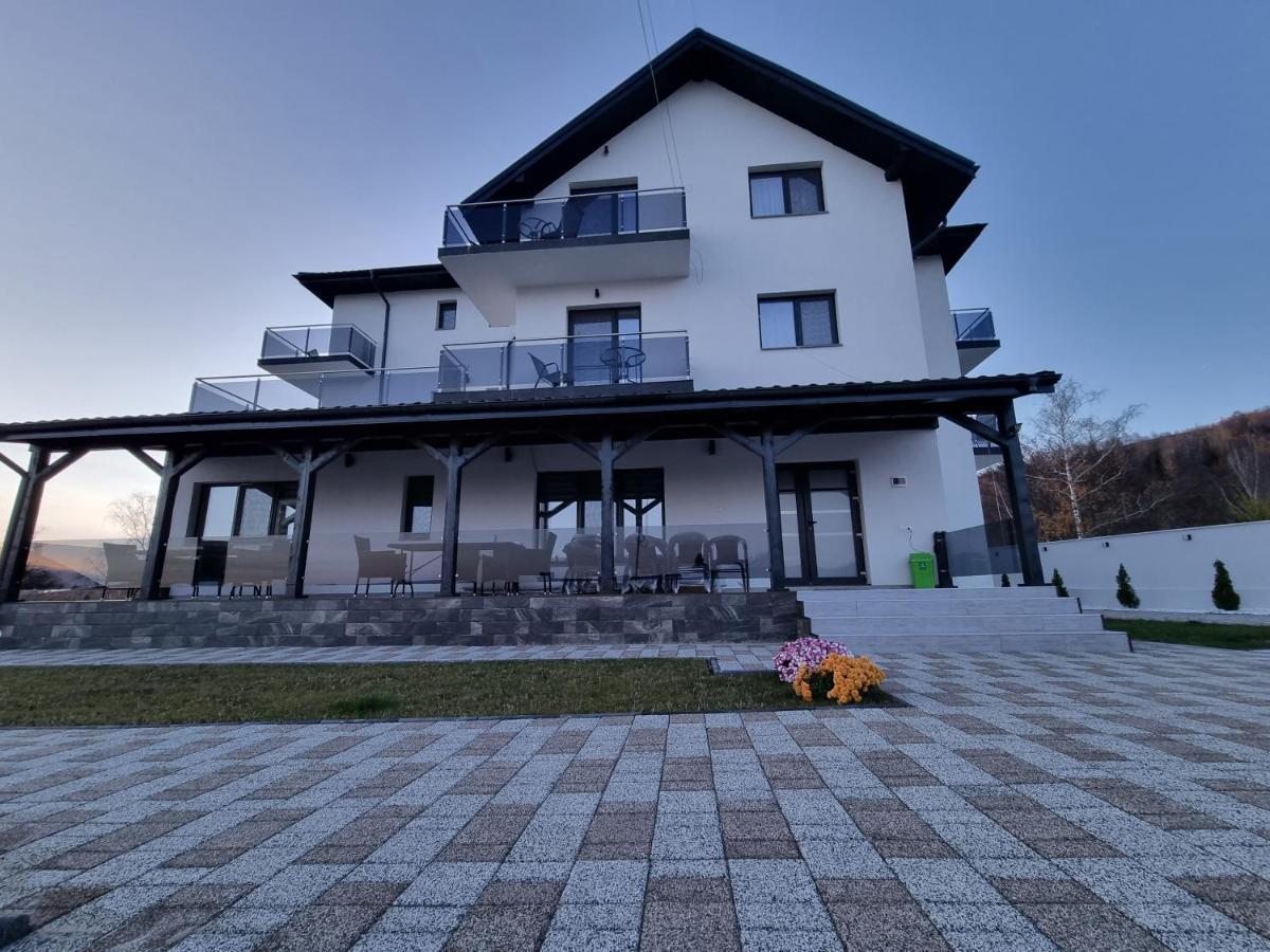 Casa De Vacanta Larisa Novaci-Străini Zewnętrze zdjęcie