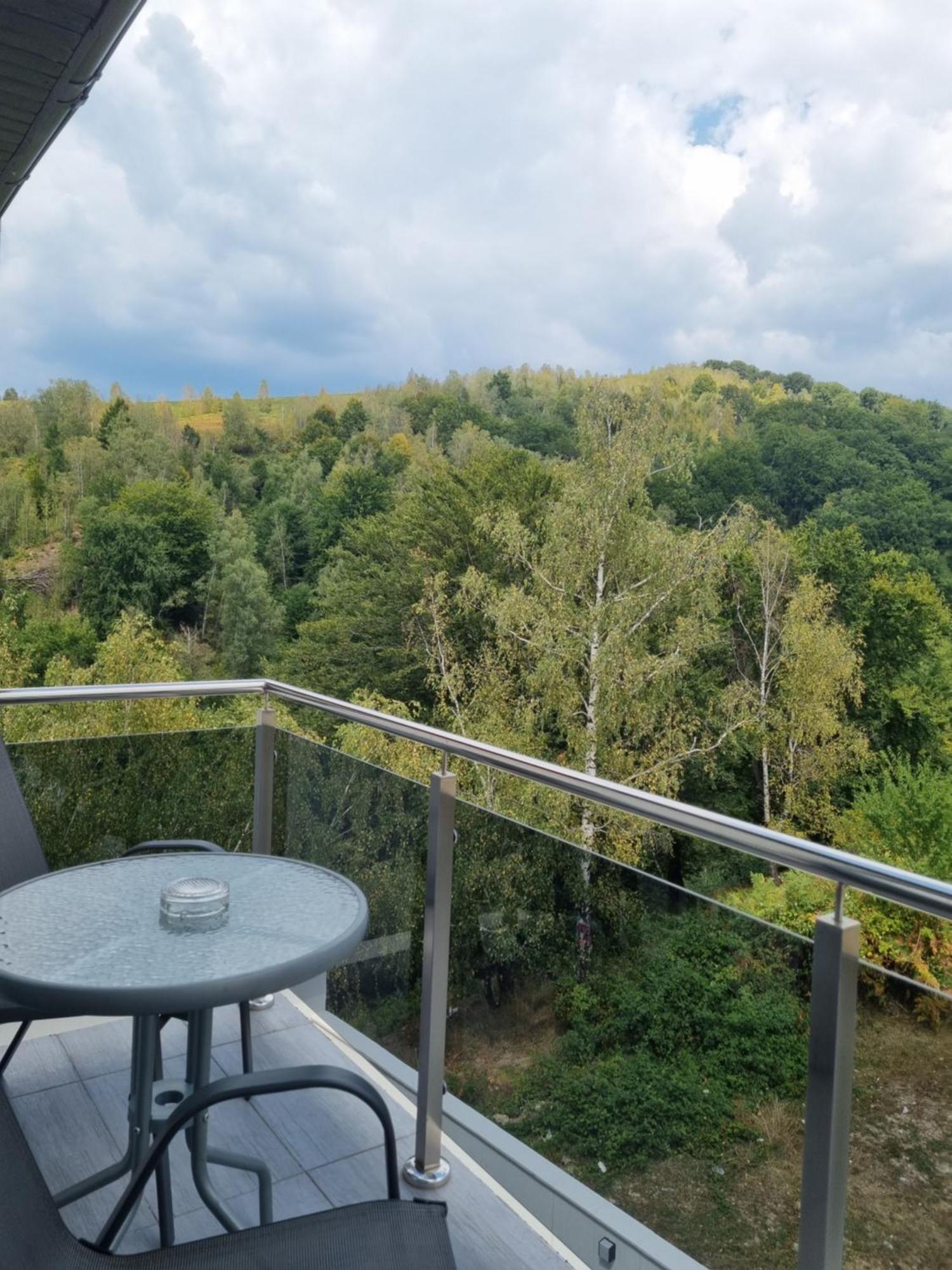 Casa De Vacanta Larisa Novaci-Străini Pokój zdjęcie