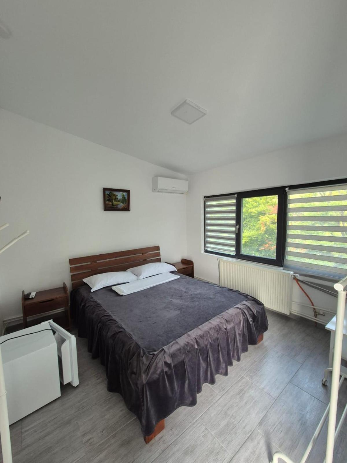 Casa De Vacanta Larisa Novaci-Străini Zewnętrze zdjęcie